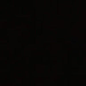 Meet your Posher, Shane